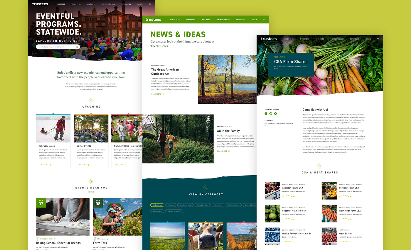 A collection of three homepage mockups from The Trustees' site.