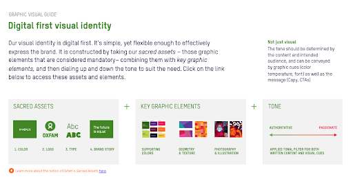 Graphic visual guide for digital first visual identity 