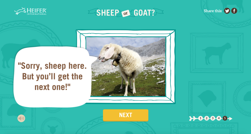 Screenshot of a "Sheep or Goat" quiz that shows a photo of a sheep saying "Sorry, sheep here. But you'll get the next one!"