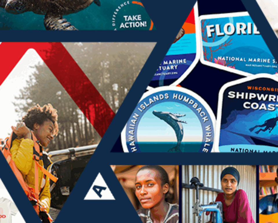 Featured image for: Four Blue State partners and projects win 2025 Anthem Awards